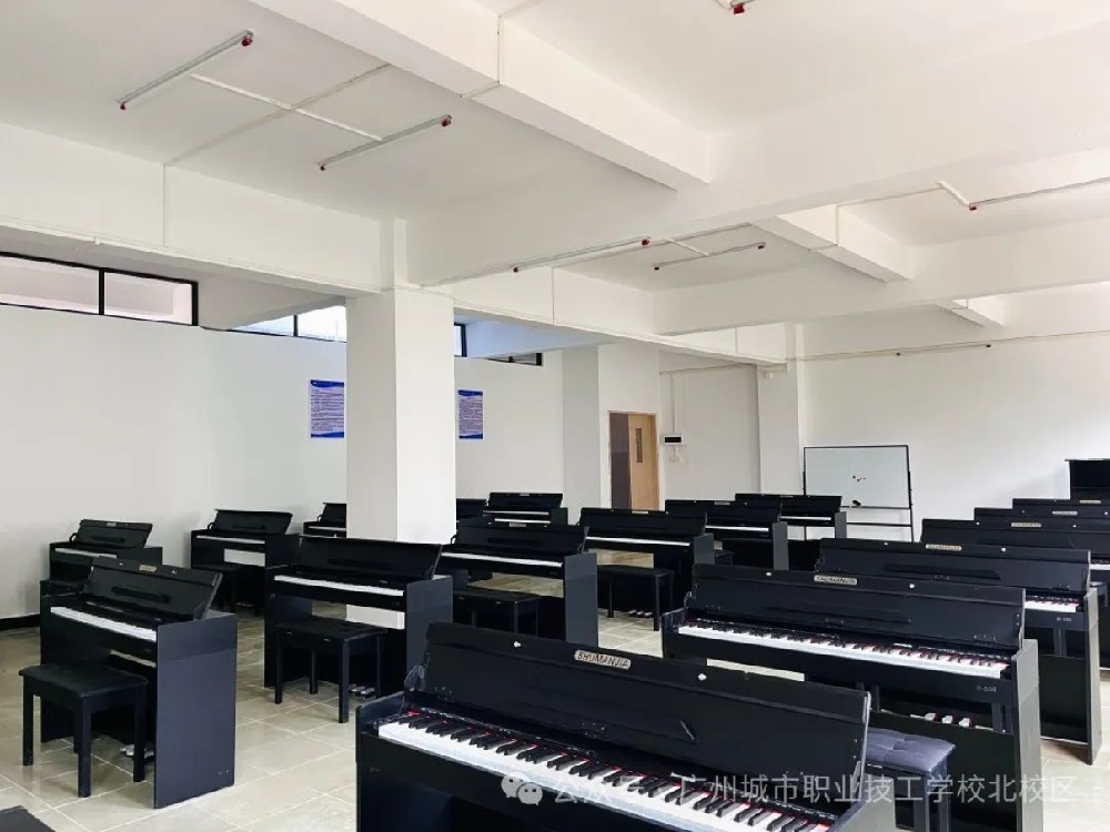 �׶�����רҵʵѵ��